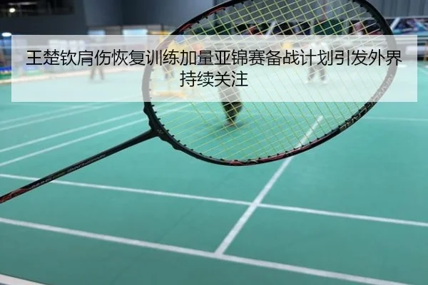 王楚钦肩伤恢复训练加量亚锦赛备战计划引发外界持续关注